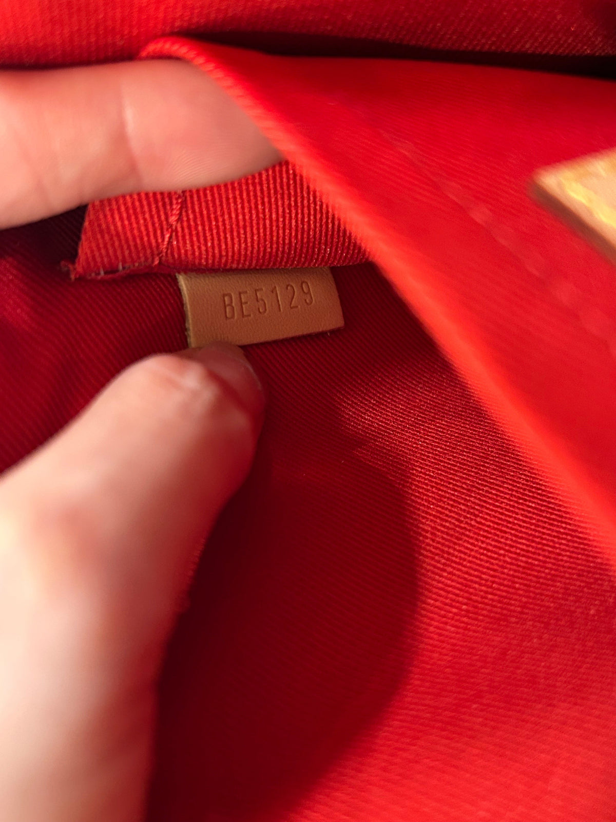 Neverfull Pochette Monogram Canvas Large