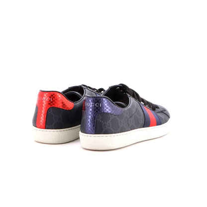 Ace Sneakers GG Coated Canvas